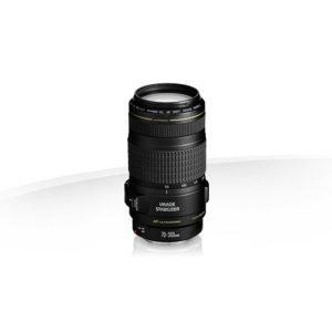 Canon EF 70-300mm f/4-5.6 IS USM